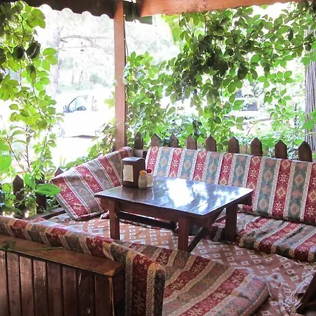 Natural Guest house 3*