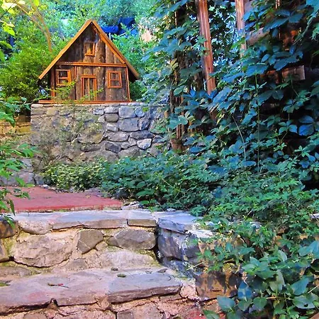 Guest house Natural Olympos