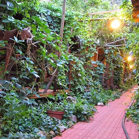 Natural Pensión Olympos